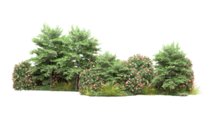 Realistic forest isolated on transparent background. 3d rendering - illustration png