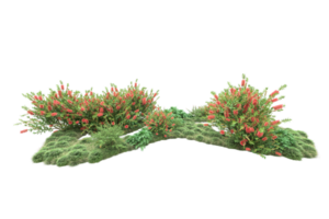 Realistic forest isolated on transparent background. 3d rendering - illustration png