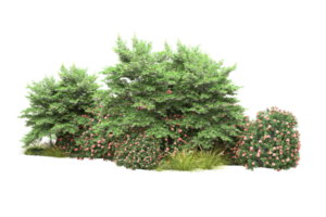 Realistic forest isolated on transparent background. 3d rendering - illustration png