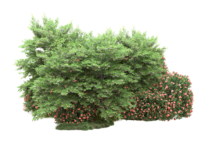 Realistic forest isolated on transparent background. 3d rendering - illustration png