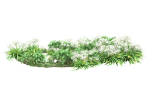 Realistic forest isolated on transparent background. 3d rendering - illustration png