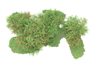 Realistic forest isolated on transparent background. 3d rendering - illustration png