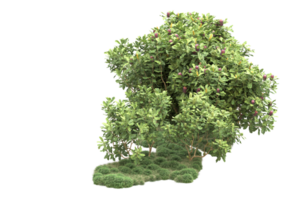 forêt réaliste isolée sur fond transparent. rendu 3d - illustration png