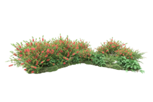 floresta realista isolada em fundo transparente. renderização 3D - ilustração png