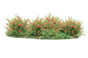 Realistic forest isolated on transparent background. 3d rendering - illustration png