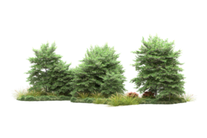 forêt réaliste isolée sur fond transparent. rendu 3d - illustration png