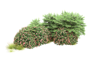 Realistic forest isolated on transparent background. 3d rendering - illustration png