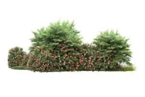 Realistic forest isolated on transparent background. 3d rendering - illustration png