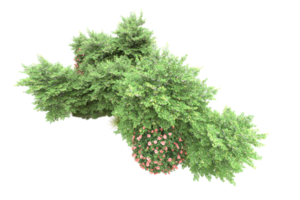Realistic forest isolated on transparent background. 3d rendering - illustration png