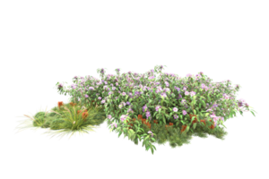 Realistic forest isolated on transparent background. 3d rendering - illustration png