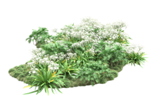 Realistic forest isolated on transparent background. 3d rendering - illustration png