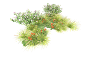 Realistic forest isolated on transparent background. 3d rendering - illustration png