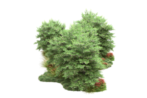 Realistic forest isolated on transparent background. 3d rendering - illustration png