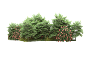 Realistic forest isolated on transparent background. 3d rendering - illustration png