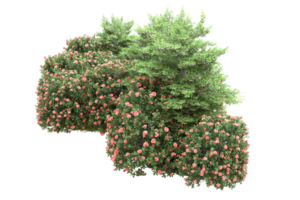 Realistic forest isolated on transparent background. 3d rendering - illustration png