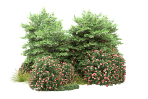 forêt réaliste isolée sur fond transparent. rendu 3d - illustration png