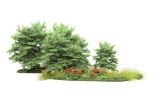 Realistic forest isolated on transparent background. 3d rendering - illustration png