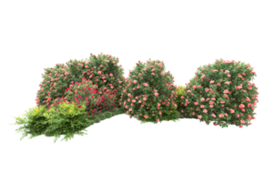 Realistic forest isolated on transparent background. 3d rendering - illustration png