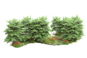 forêt réaliste isolée sur fond transparent. rendu 3d - illustration png