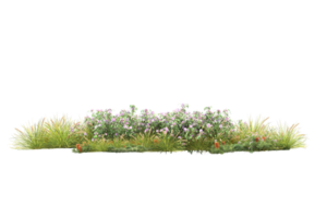 Realistic forest isolated on transparent background. 3d rendering - illustration png