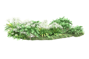 Realistic forest isolated on transparent background. 3d rendering - illustration png