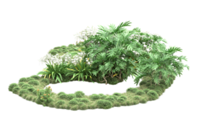 Realistic forest isolated on transparent background. 3d rendering - illustration png