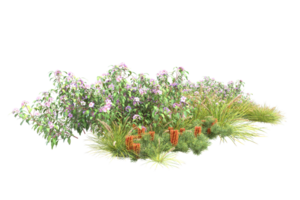 Realistic forest isolated on transparent background. 3d rendering - illustration png