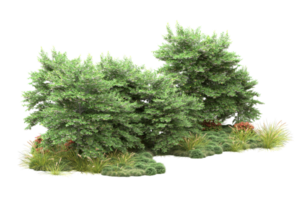 Realistic forest isolated on transparent background. 3d rendering - illustration png