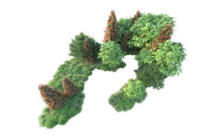 Realistic forest isolated on transparent background. 3d rendering - illustration png