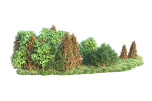 Realistic forest isolated on transparent background. 3d rendering - illustration png