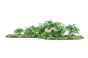 Realistic forest isolated on transparent background. 3d rendering - illustration png