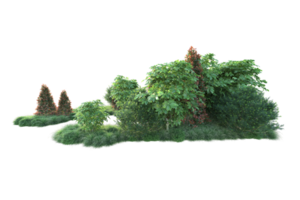 Realistic forest isolated on transparent background. 3d rendering - illustration png