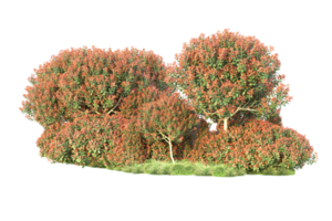 Realistic forest isolated on transparent background. 3d rendering - illustration png