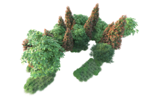 Realistic forest isolated on transparent background. 3d rendering - illustration png