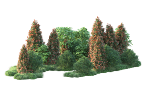 Realistic forest isolated on transparent background. 3d rendering - illustration png