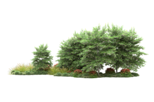 realistico foresta isolato su trasparente sfondo. 3d interpretazione - illustrazione png