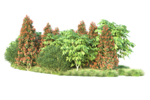 Realistic forest isolated on transparent background. 3d rendering - illustration png