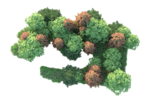 Realistic forest isolated on transparent background. 3d rendering - illustration png