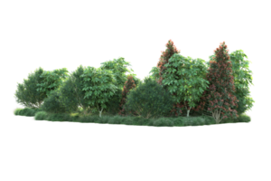 Realistic forest isolated on transparent background. 3d rendering - illustration png