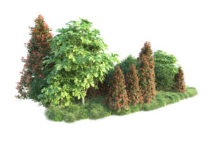 Realistic forest isolated on transparent background. 3d rendering - illustration png