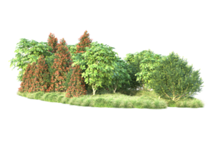 Realistic forest isolated on transparent background. 3d rendering - illustration png
