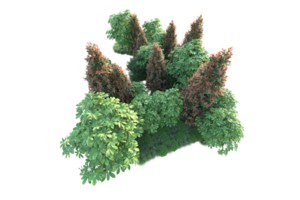 Realistic forest isolated on transparent background. 3d rendering - illustration png