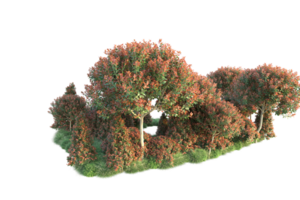 Realistic forest isolated on transparent background. 3d rendering - illustration png