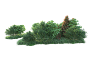 Realistic forest isolated on transparent background. 3d rendering - illustration png