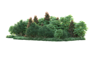 Realistic forest isolated on transparent background. 3d rendering - illustration png