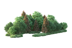 Realistic forest isolated on transparent background. 3d rendering - illustration png