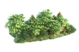 forêt réaliste isolée sur fond transparent. rendu 3d - illustration png