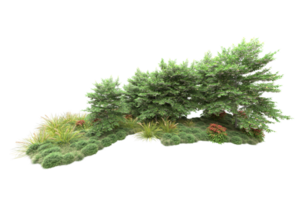 Realistic forest isolated on transparent background. 3d rendering - illustration png