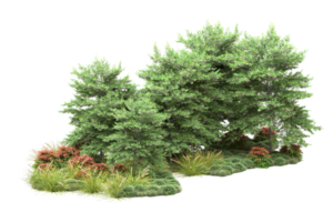 Realistic forest isolated on transparent background. 3d rendering - illustration png