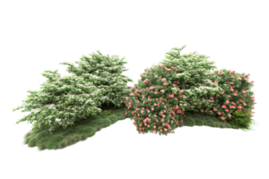 Realistic forest isolated on transparent background. 3d rendering - illustration png